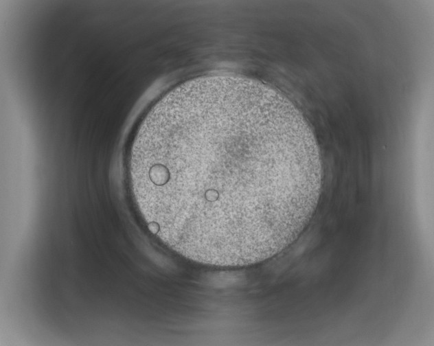 X0000113270102200910221107