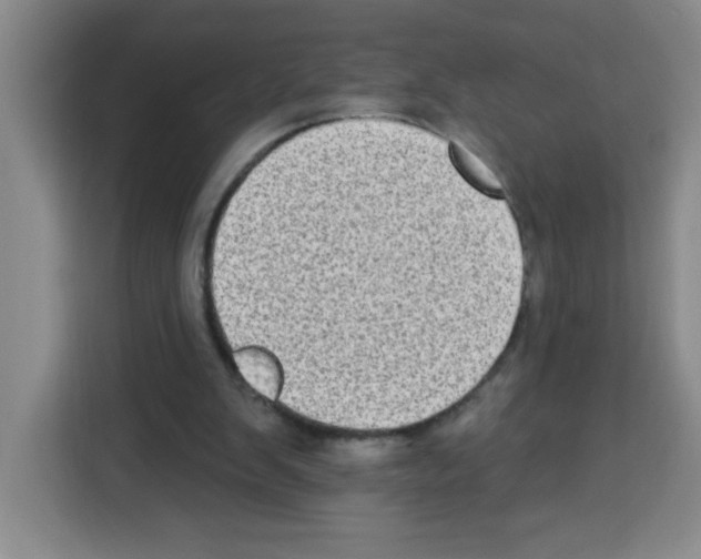 X0000113270103200910221107