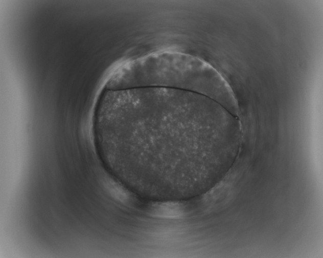 X0000113270104200910221107