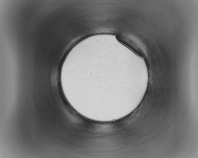 X0000113270107200910221107