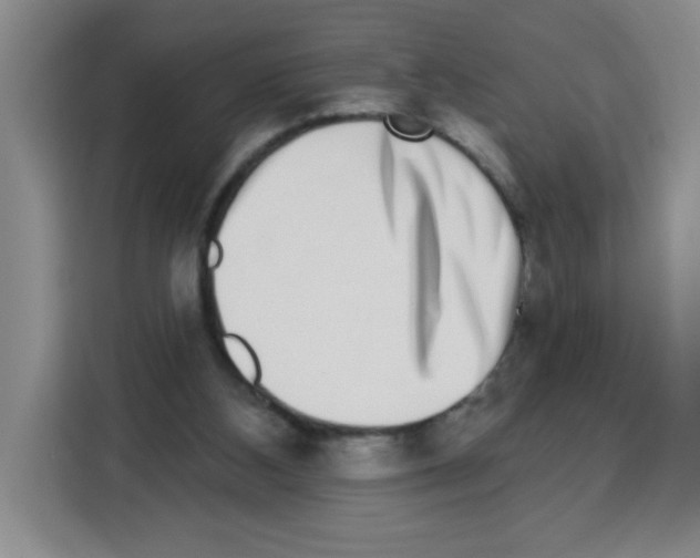 X0000113270108200910221107