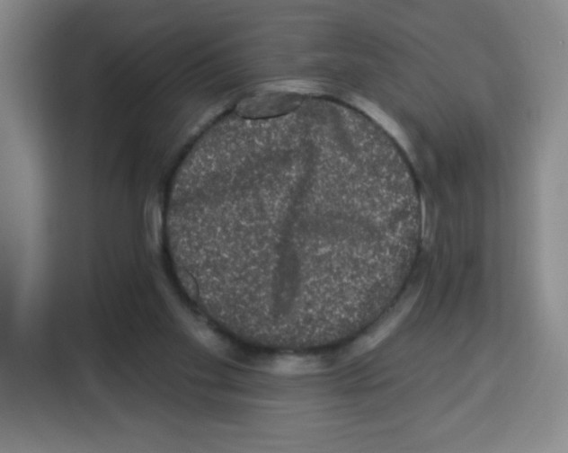 X0000113270109200910221107