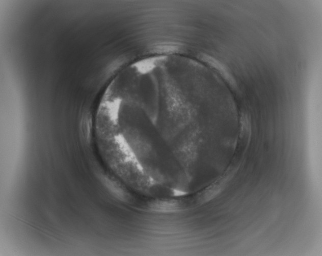 X0000113270110200910221107