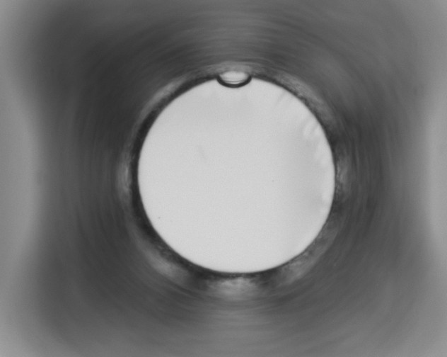 X0000113270112200910221107