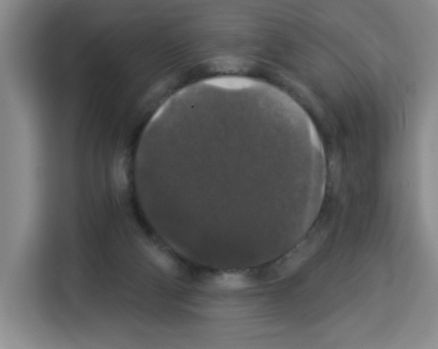 X0000113270114200910221107