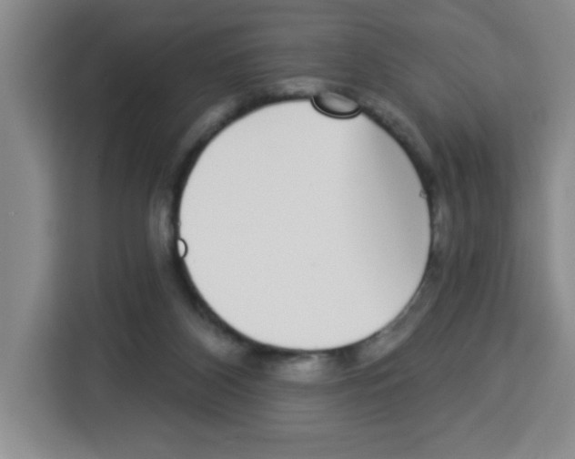 X0000113270116200910221107