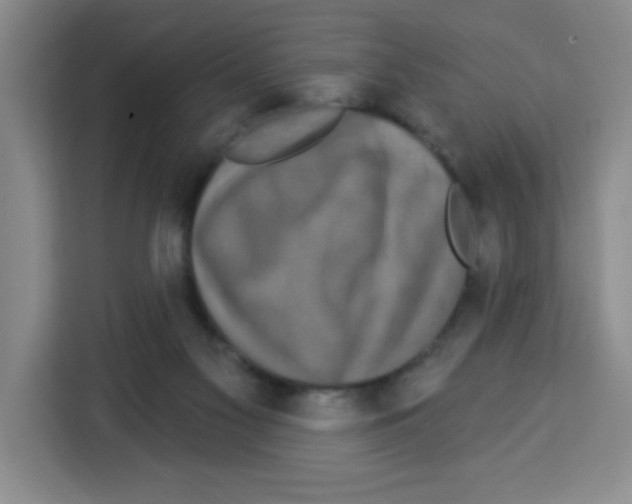 X0000113270117200910221107