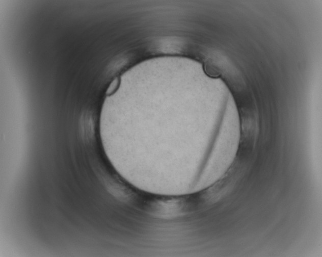 X0000113270120200910221107