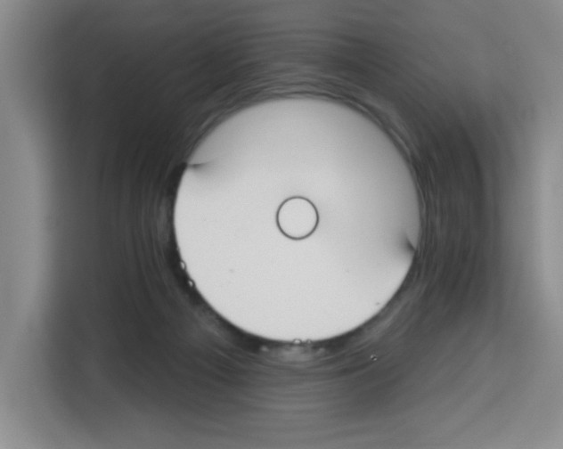 X0000113270121200910221107