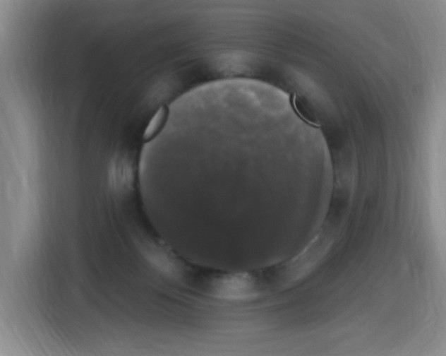 X0000113270124200910221107