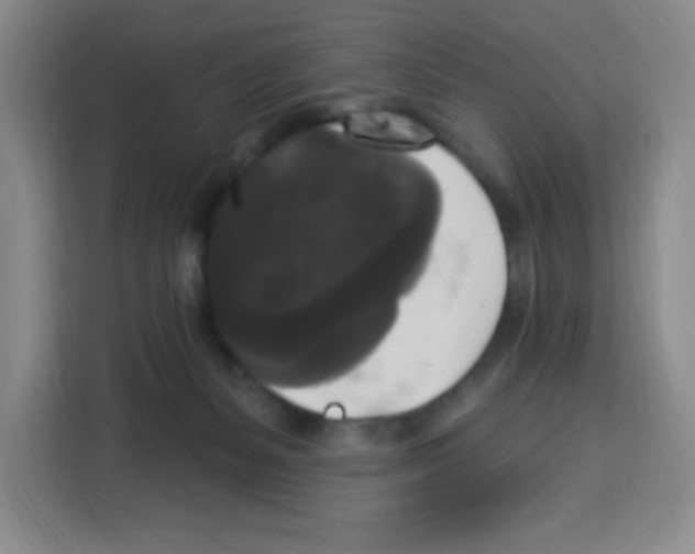 X0000113270127200910221107