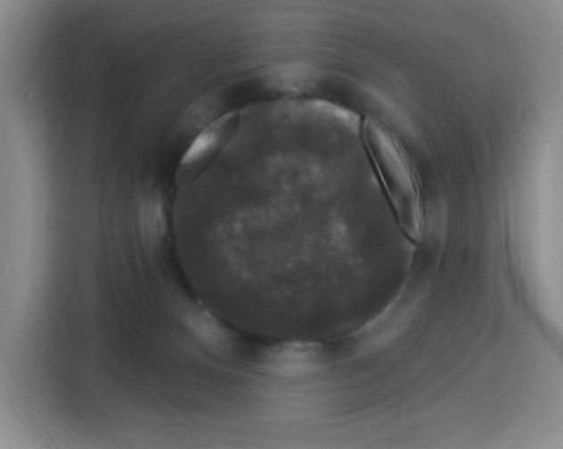 X0000113270128200910221107