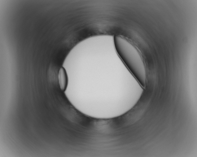 X0000113270129200910221107