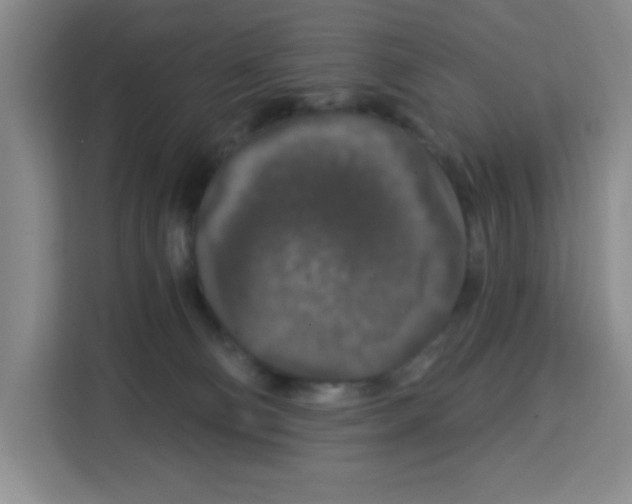 X0000113270130200910221107