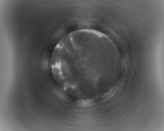 X0000113270134200910221107