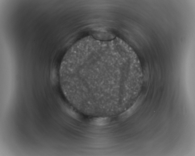 X0000113270136200910221107