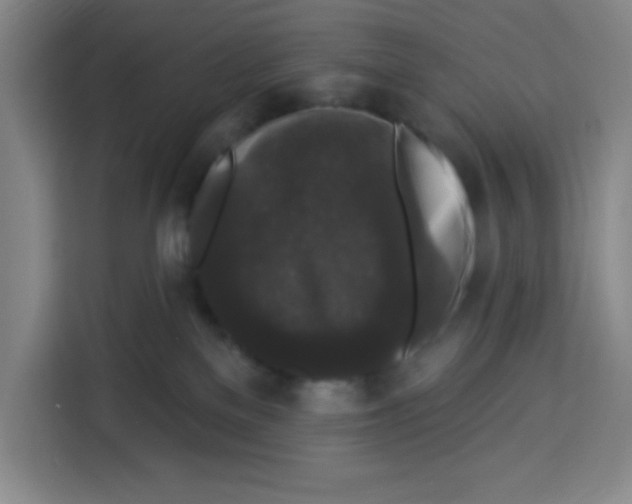 X0000113270137200910221106