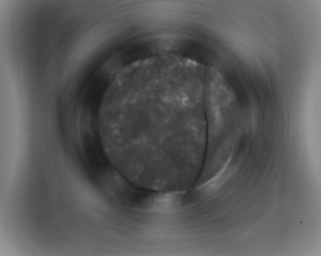 X0000113270140200910221106