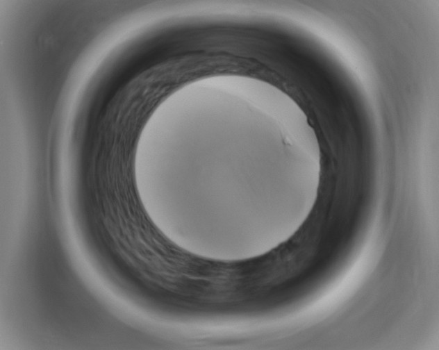 X0000113270143200910221106