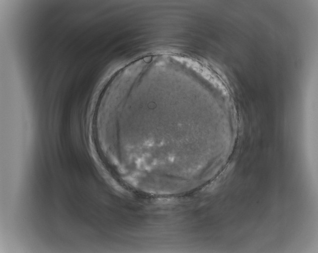 X0000113270145200910221106