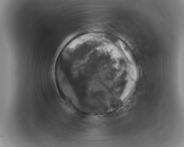 X0000113270147200910221106