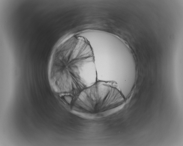 X0000113270149200910221106