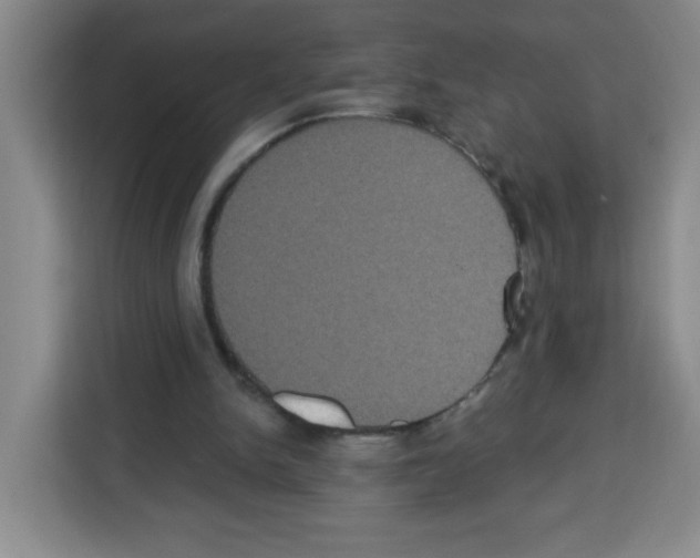 X0000113270150200910221106