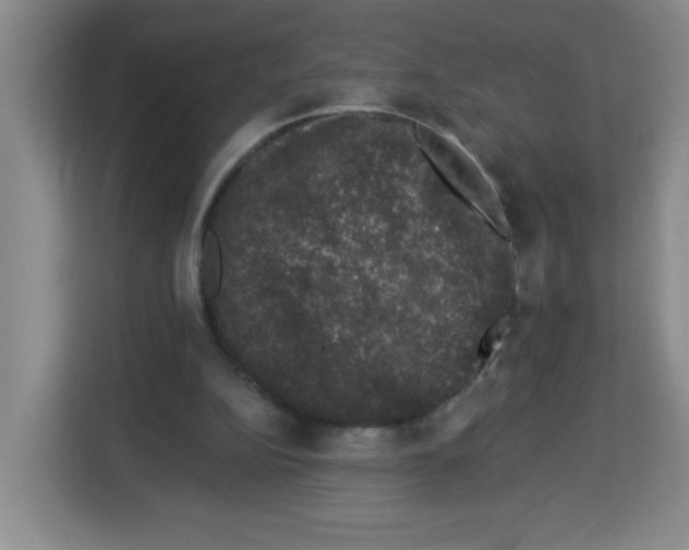 X0000113270152200910221106