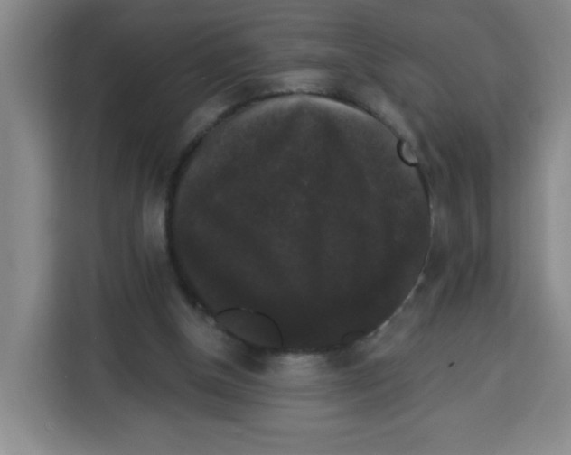 X0000113270154200910221106