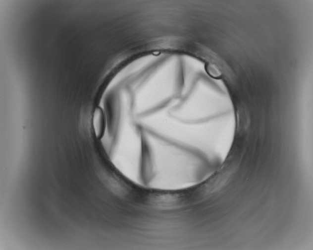 X0000113270156200910221106