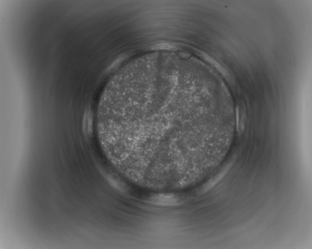 X0000113270157200910221106