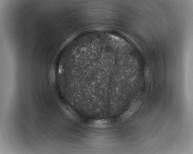 X0000113270158200910221106