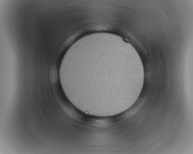 X0000113270164200910221106