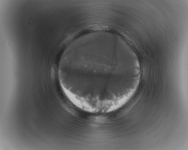 X0000113270165200910221106