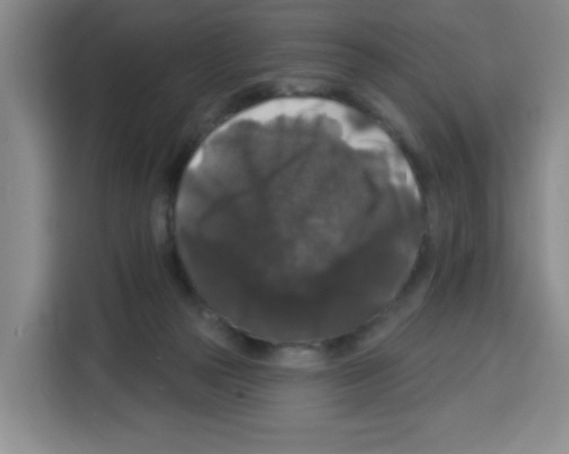 X0000113270169200910221106