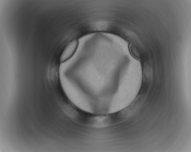 X0000113270172200910221106