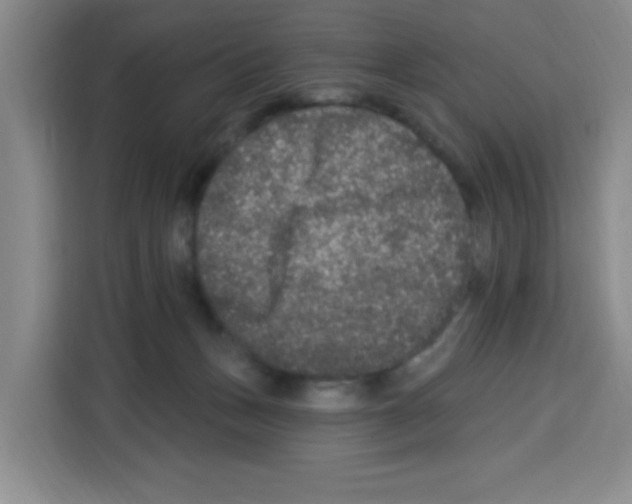 X0000113270175200910221106