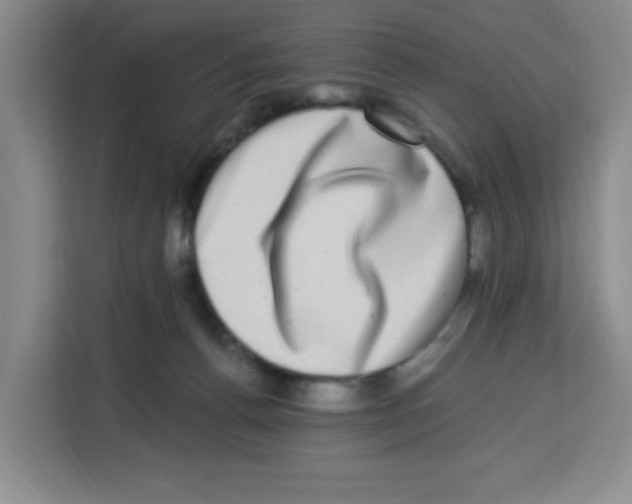 X0000113270176200910221106