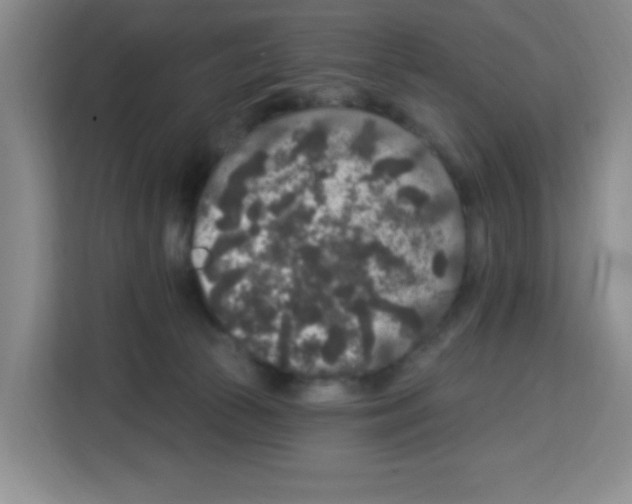 X0000113270177200910221106