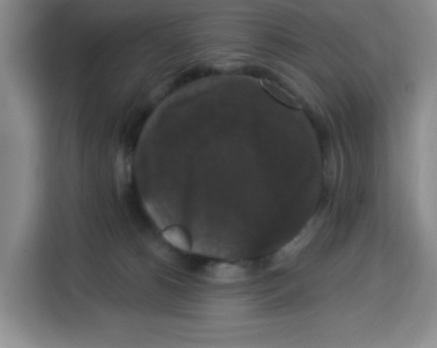 X0000113270180200910221106