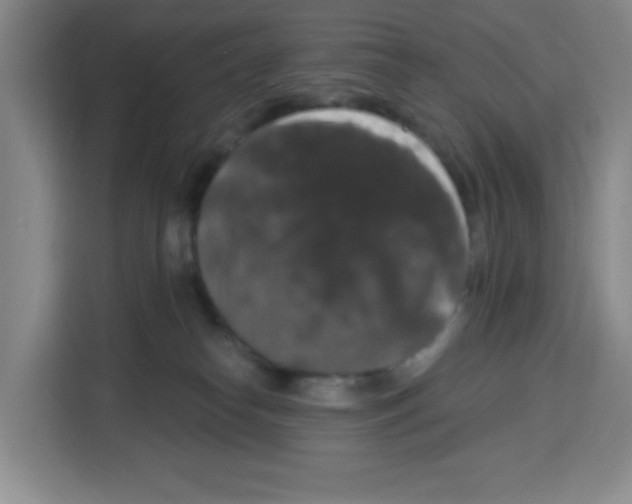 X0000113270182200910221106