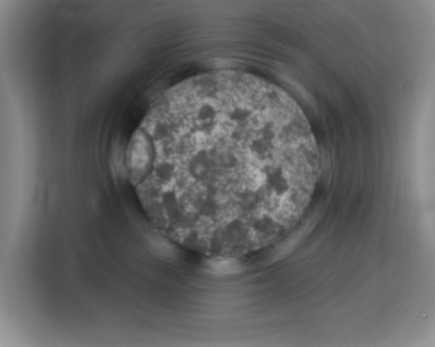 X0000113270189200910221106