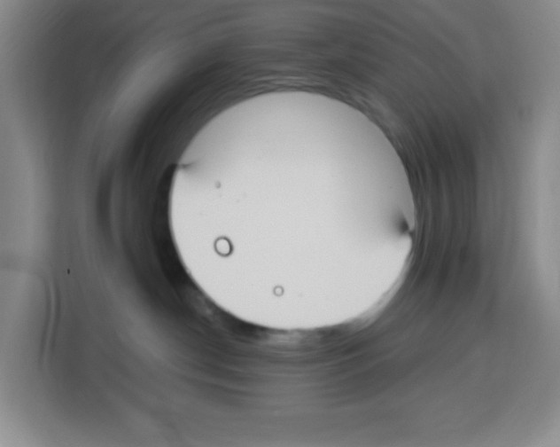 X0000113270190200910221106