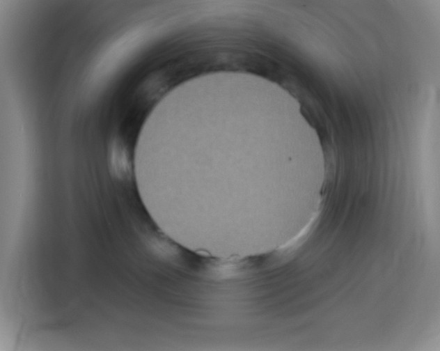 X0000113270191200910221106