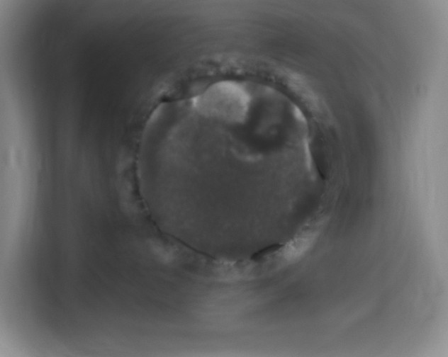 X0000113270192200910221106