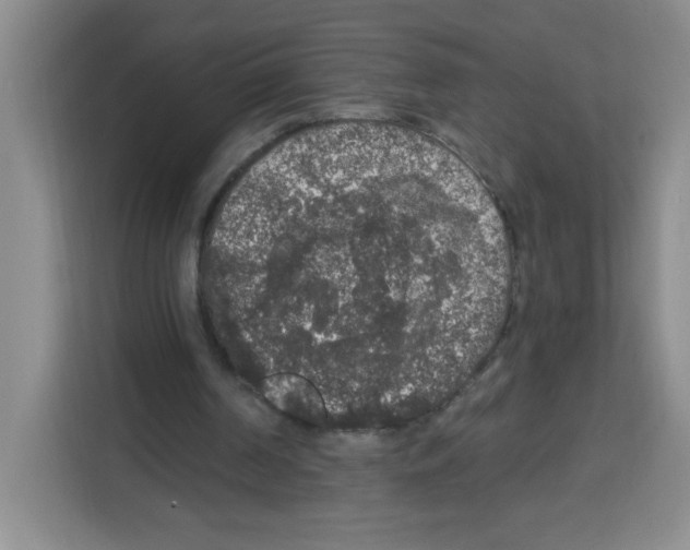 X0000113270194200910221106