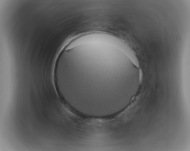 X0000113270195200910221106