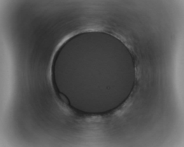 X0000113270196200910221106