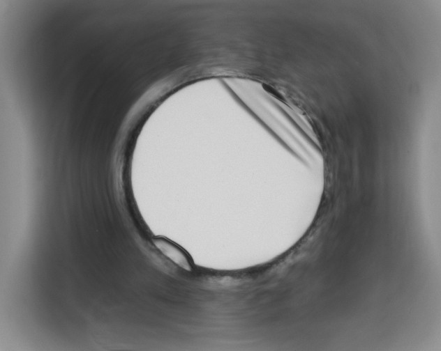 X0000113270197200910221106