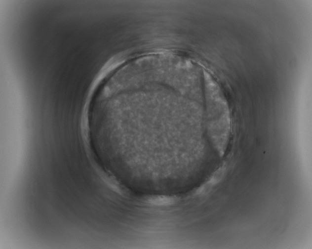 X0000113270198200910221106